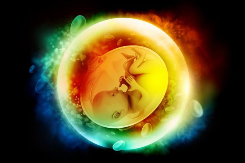 It is possible to sow the seeds of schizophrenia in the earliest stages of life
