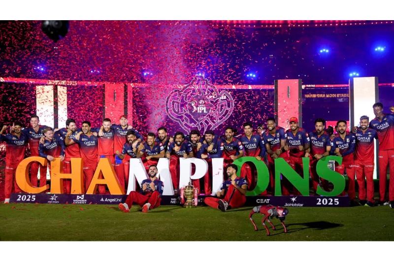 IPL 2025 Award Winners List